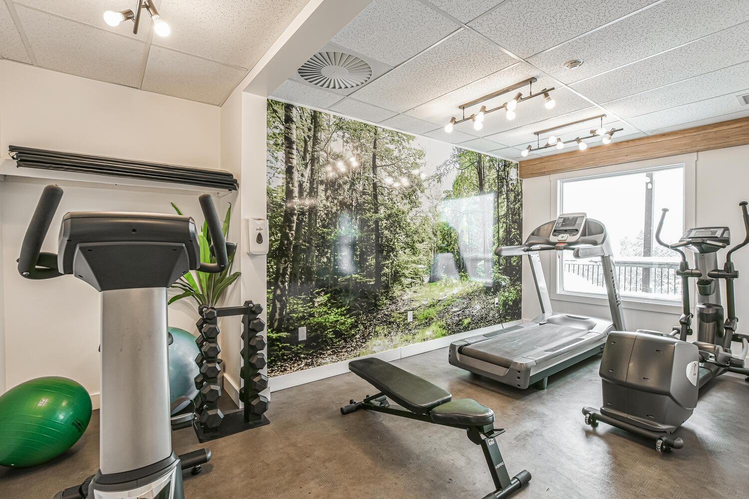 Ax Hotel Mont-Tremblant Dış mekan fotoğraf
